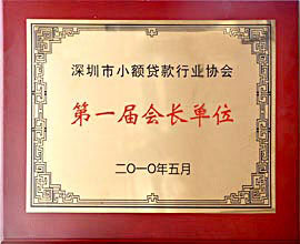 2010年，在深圳市政府金融辦的推動以及行業的大力支持下，中安信業被推選為首任深圳市小額貸款行業協會會長單位。